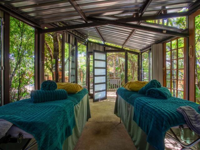 About Purple Gecko & Green Chameleon Guesthouses in Lydenburg